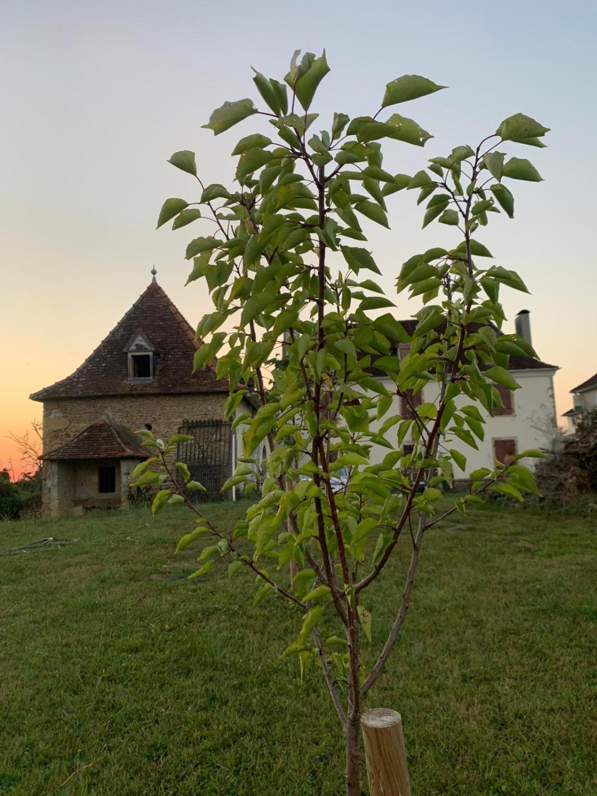 La Poesie Bed & Breakfast Lagor Exterior foto